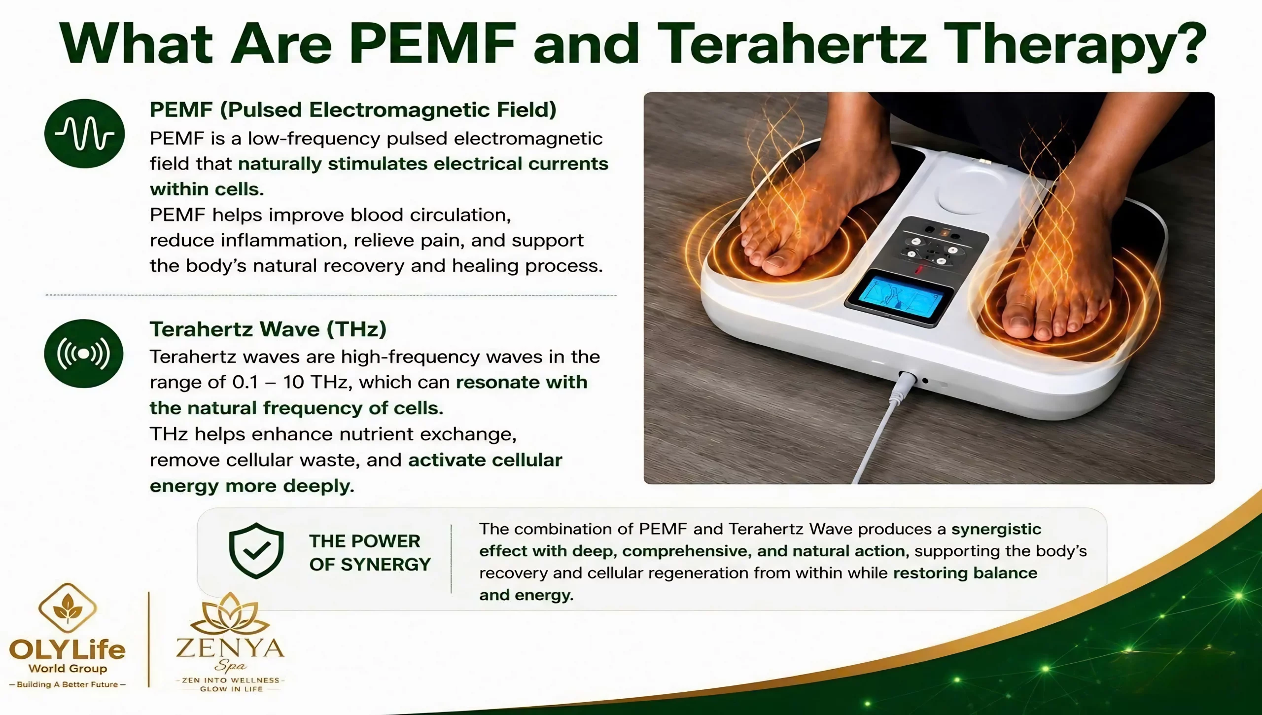 OLYLIFE TERA P90+ device - PEMF & Terahertz Physics