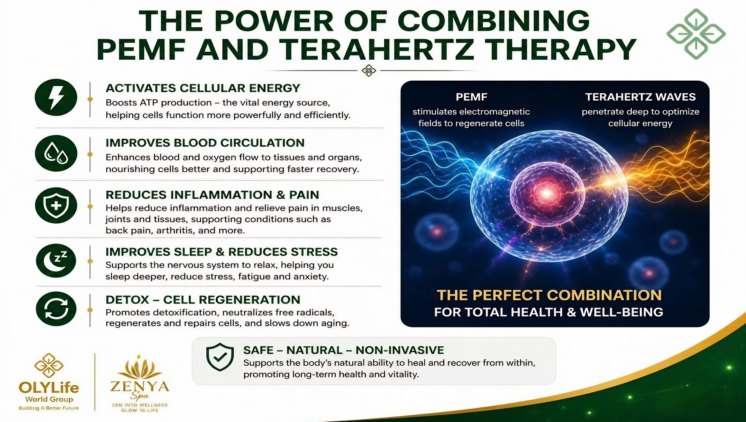 OLYLIFE TERA P90+ device - Advanced Cell Activation