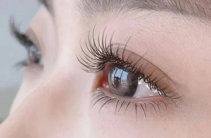 Lash Extension Class